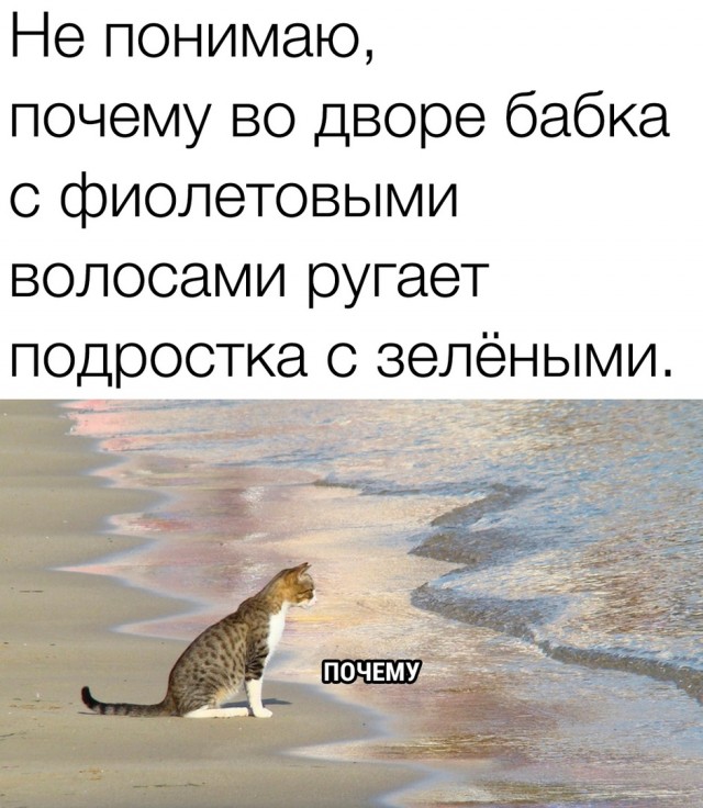 Так себе картинки 17.08.23