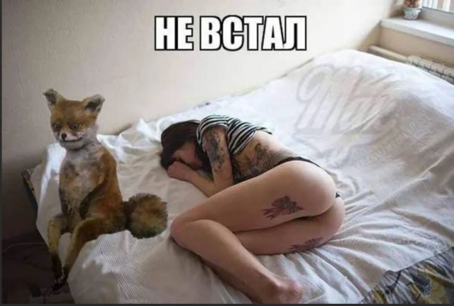 Без врага жизнь скучна, а с врагом - интересна
