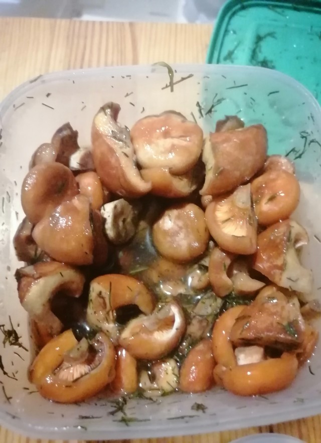 Солим сырые грузди