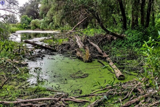 "Дом-Призрак" в лесах Урала: Последняя водяная мельница в Башкирии