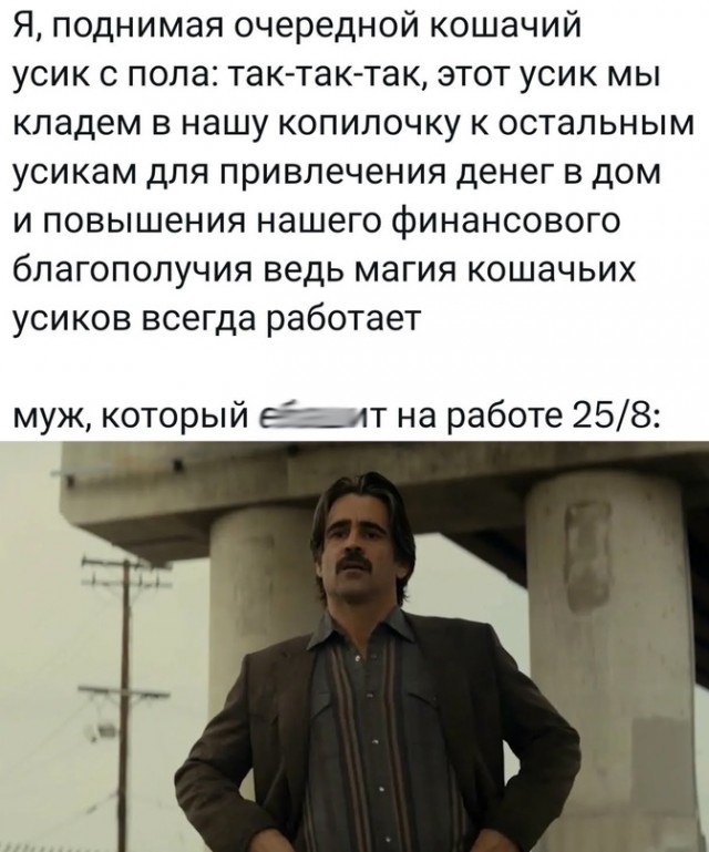 Весёлый полтишок 27.11.23