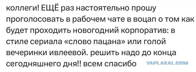 Общественность Волгограда возмутилась тематическим корпоративом сотрудников телеканала "Волгоград 24"
