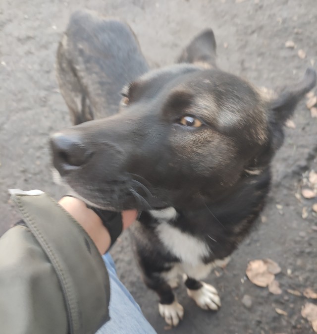 Закончим год на позитиве!