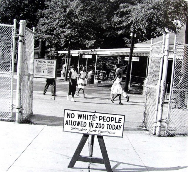 Редкие кадры и архивные снимки. 14.02.24