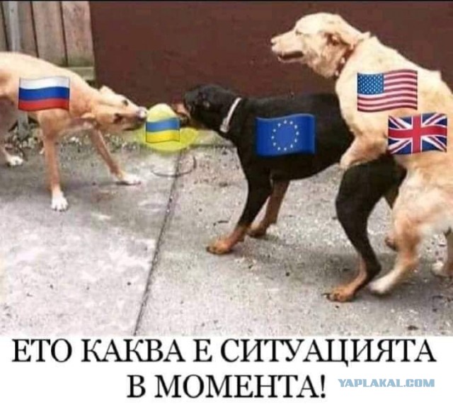 Из болгарских соцсетей⁠⁠
