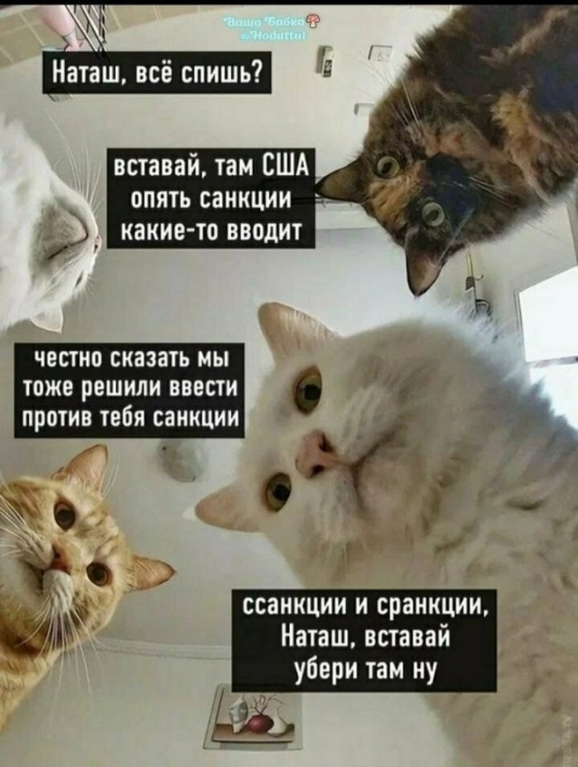 Так себе картинки 29.03.24