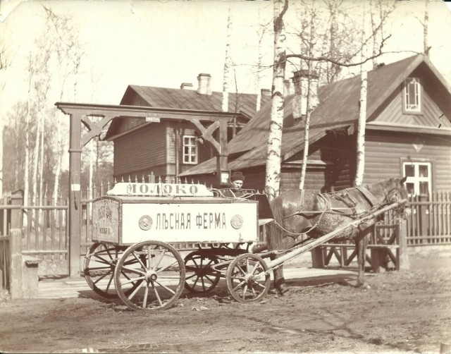 Прогулка по Санкт-Петербургу 1906 года
