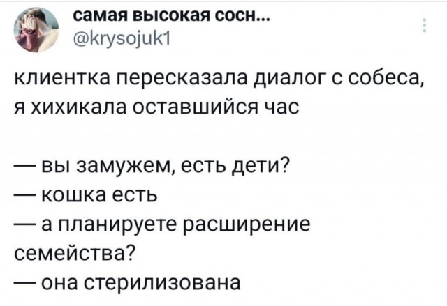 Так себе картинки 12.06.24