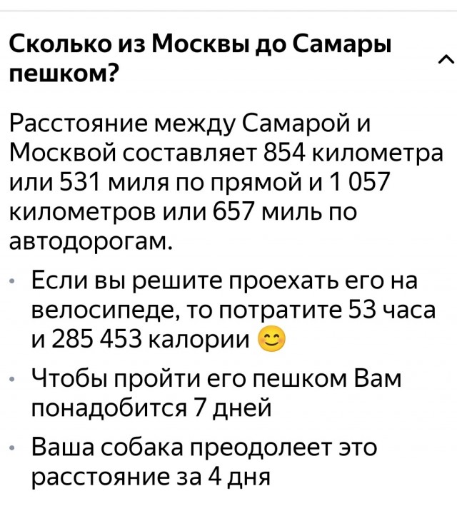 Мы с собакой идём из Самары пешком до Москвы. 1000 километров уже больше 1,5 месяцев