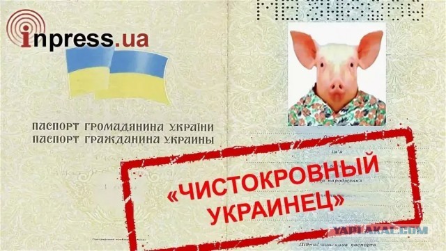 Прямое включение из дурки