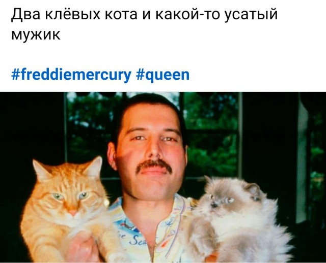 Веселые картинки к пятнице (30.08)