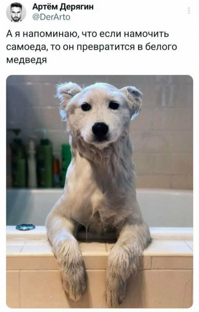 Всего понемногу. От 21.11.2024.