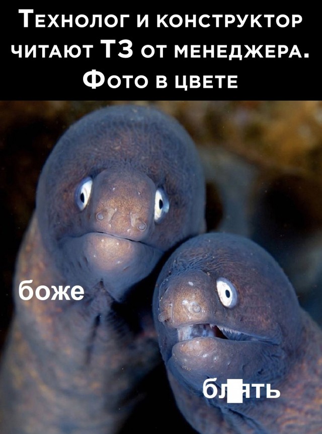Так себе картинки 17.03.25