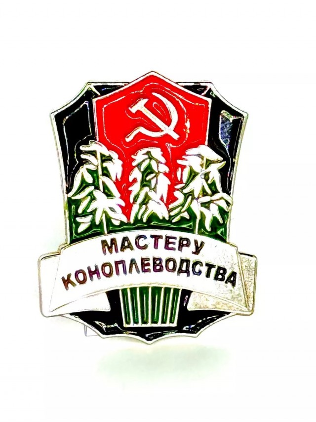Адам Кадыров теперь ветеран СВО.