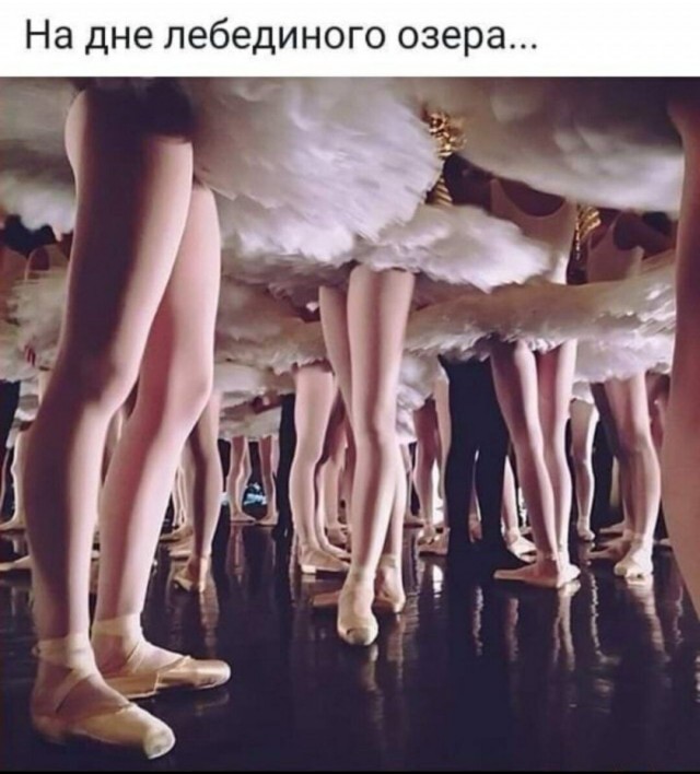 Кооператив  "Лебединое озеро" - всё.