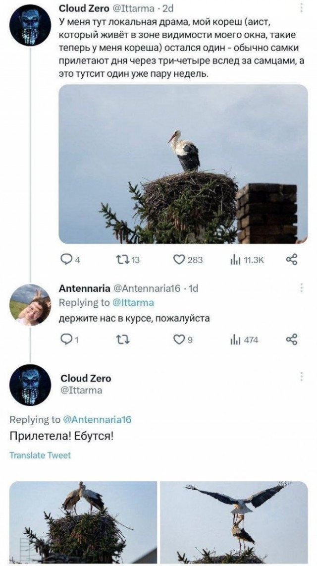 Веселые картинки в пятницу (06.06)