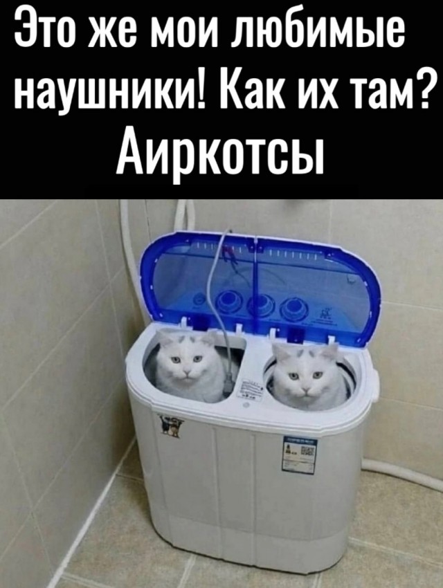 Так себе картинки 13.08.25