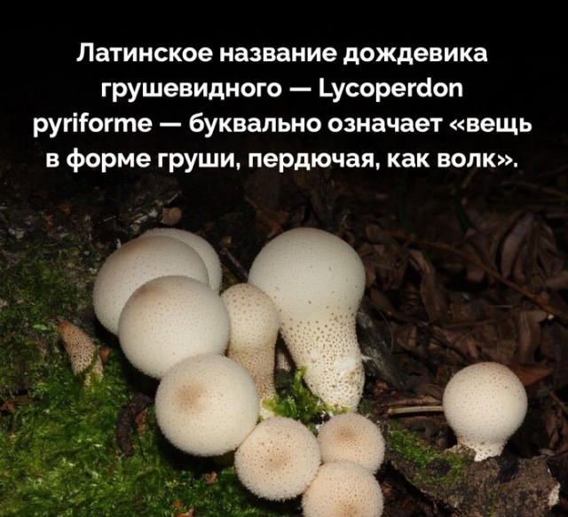 Забавные картинки, шутки из этих ваших интернетов