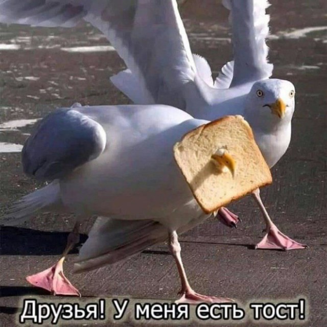 Веселые картинки в первый день октября (01.10)