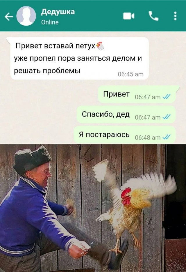 Картинки для деградации 73 (разной степени свежести)