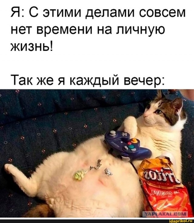Веселые картинки в маленькую пятницу (03.12)