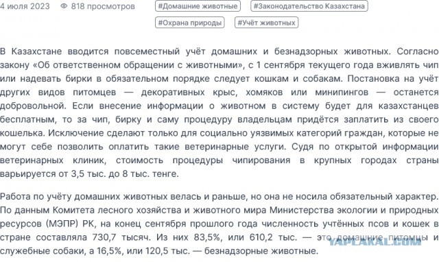 Владельцев кошек и собак в России обяжут чипировать питомцев и ставить их на учёт — СМИ