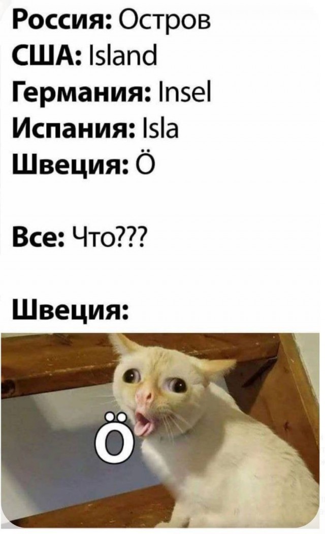 Картиночки, баянчики 30 января