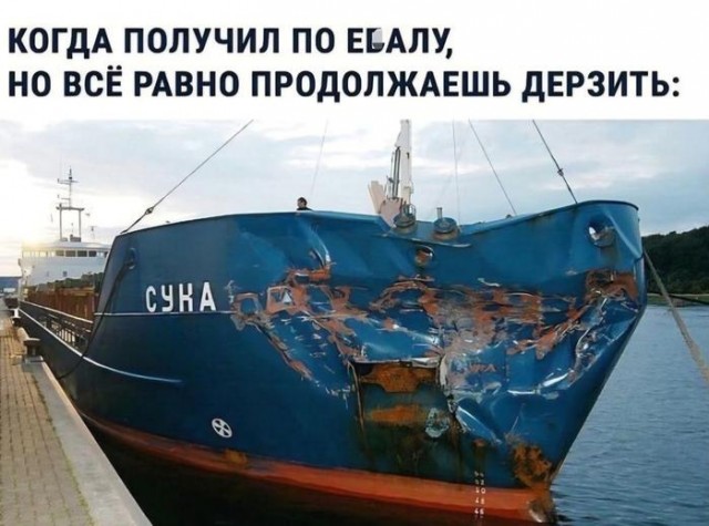 Картинки для деградации 138 (разной степени свежести)