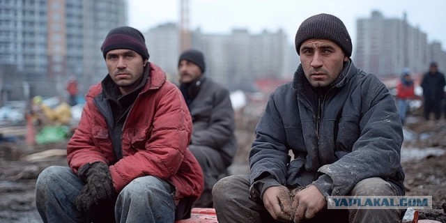 Мигранты больше не смогут работать курьерами и продавцами в Ростовской области