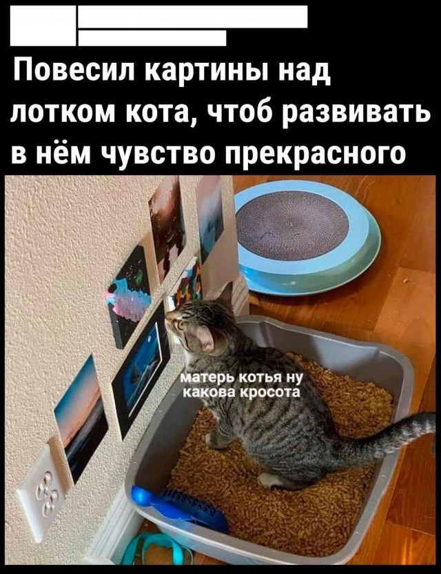 Немного картинок на ночь