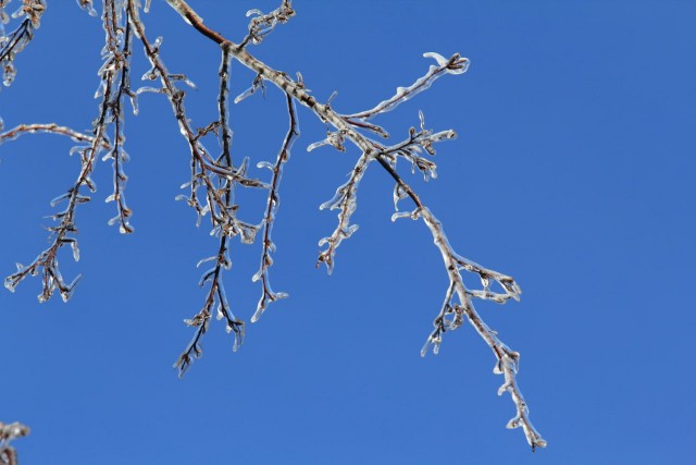 Ледяной дождь 03.05.24 (Лен.обл)