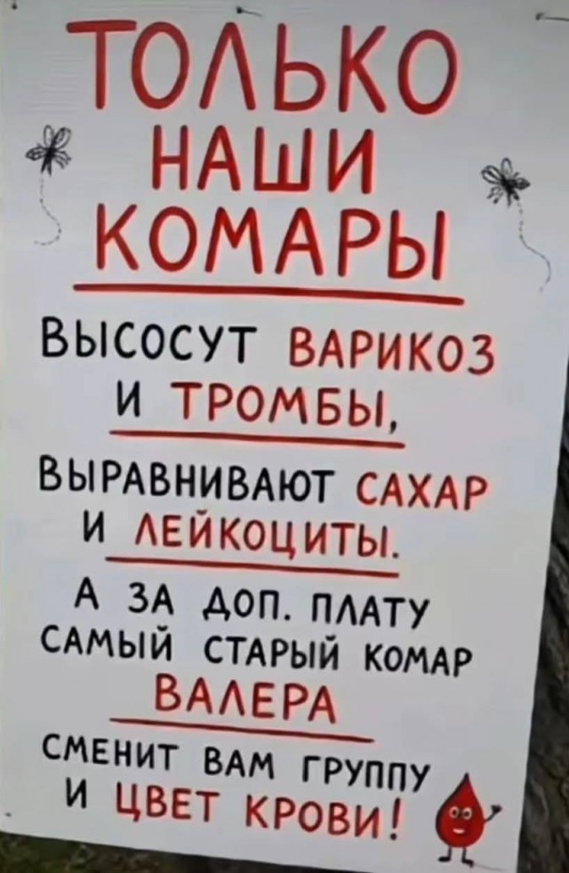 Картинки для деградации 207 (разной степени свежести)