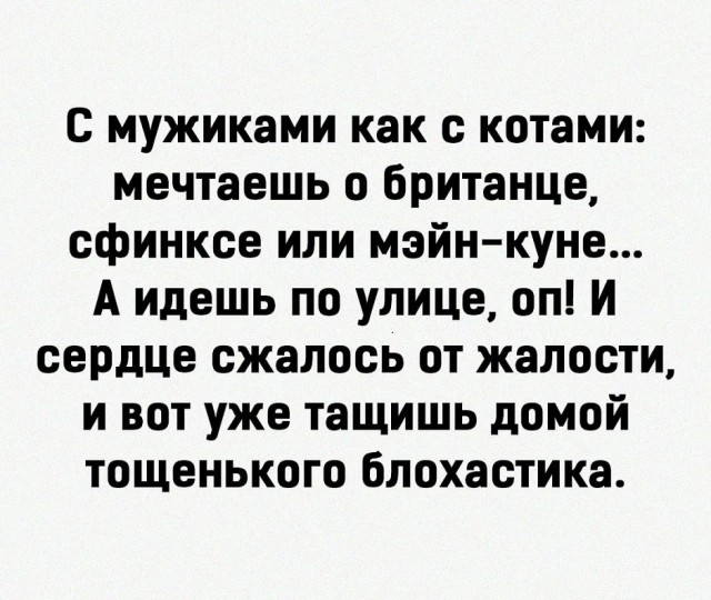 Так себе картинки 27.07.26