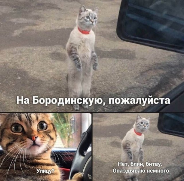 Веселые картинки в последний день лета (31.08)