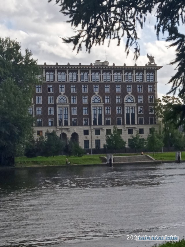 Перевод с женского⁠⁠