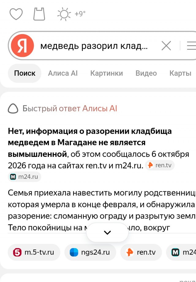 Кладбищенский хоррор из Магадана: медведь раскопал могилу и съел труп женщины