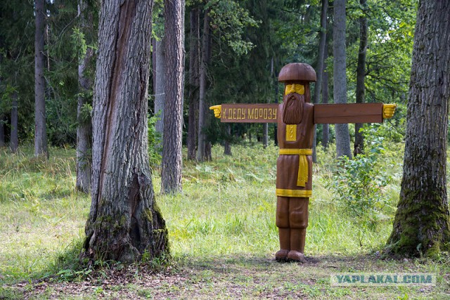 Отпуск в Беларуси