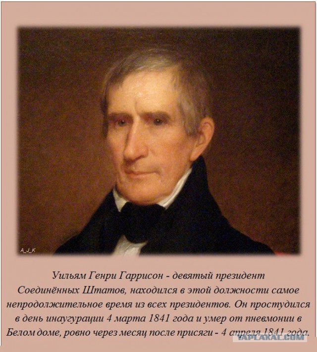 20 фактов обо всем