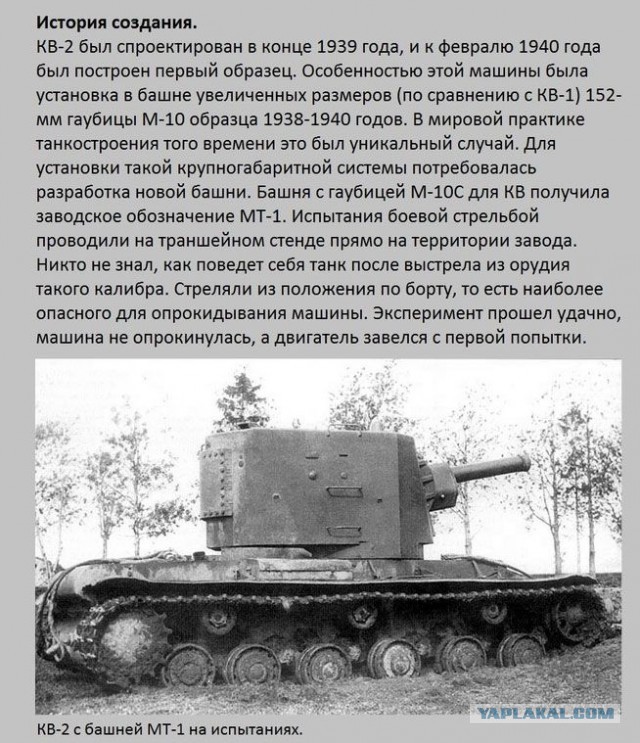 20 фактов обо всем