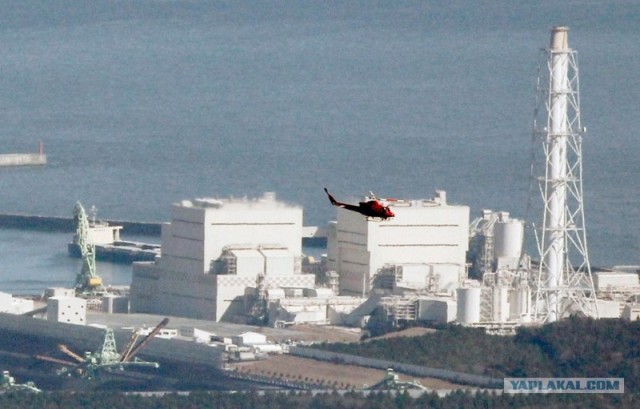 Землетрясение в Японии (фото, видео)