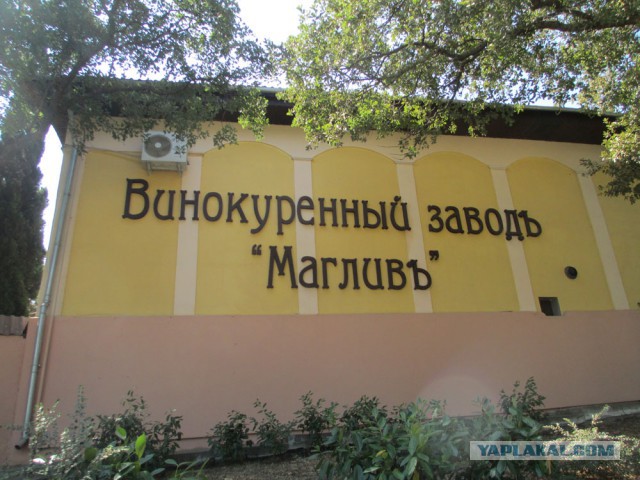 Туристический сезон в Крыму сорван?