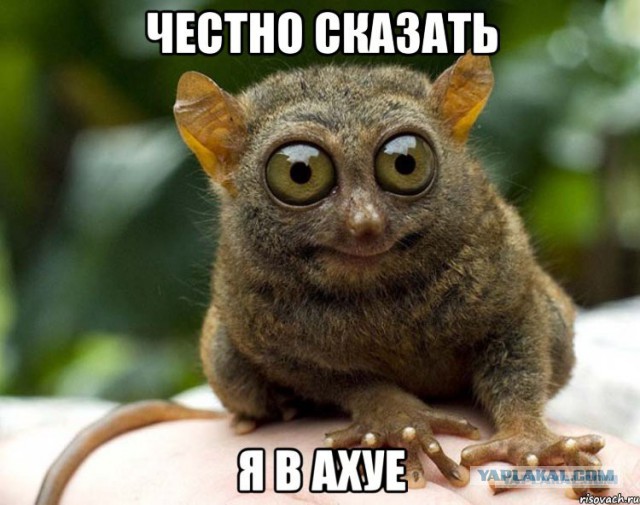 Голод.