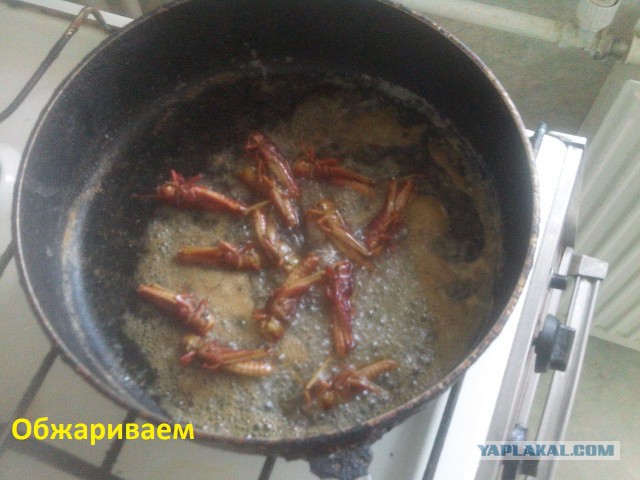 Аццкая кухня 2  (кулинарный адъ)