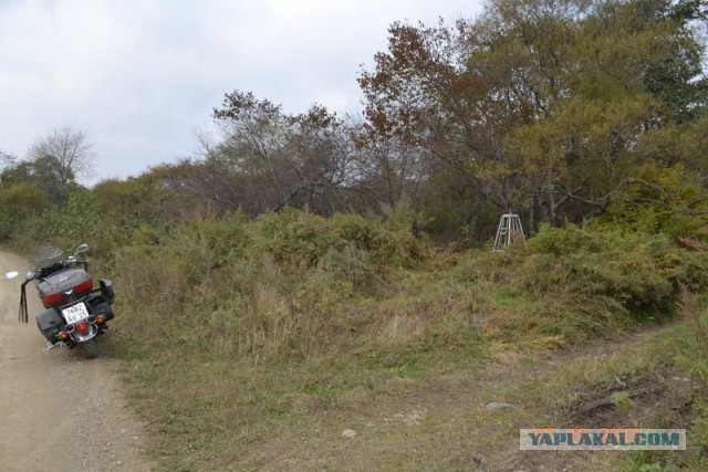 Не допустили Третью Мировую ценой забвения солдат