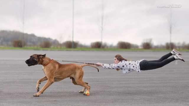 Подборка интересных и веселых картинок