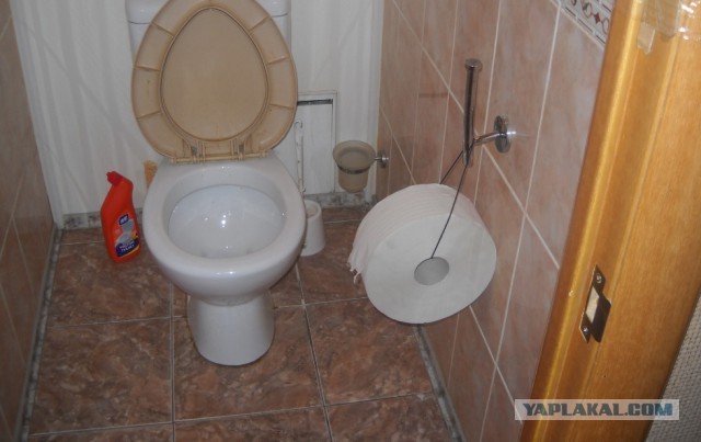 Туалетный хулиган