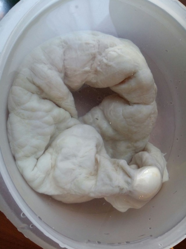 Колбасный FAQ. Делимся опытом, задаем вопросы, обсуждаем технологии.