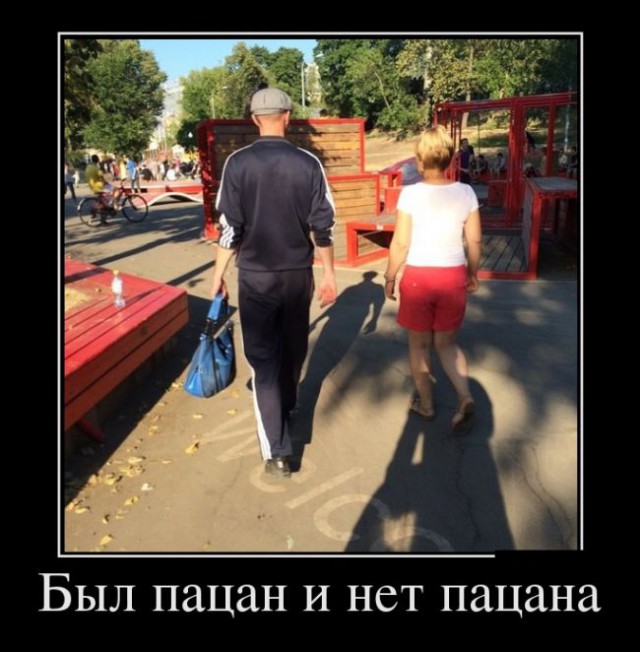 Картинки и гифки, дабы отвлечься