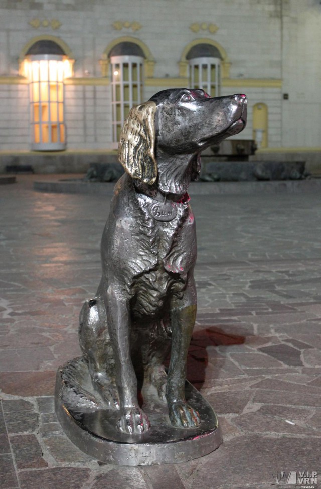 В Воронеже бездомный пес ездит в маршрутке до нужной ему остановки