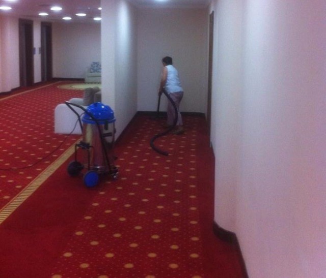 Подборка безудержного веселья